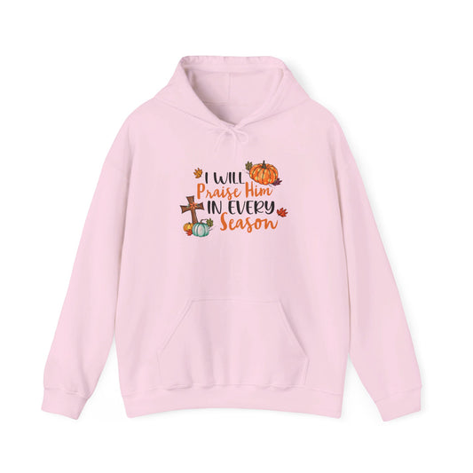 I Will Praise Him in Every Season | Hoodie