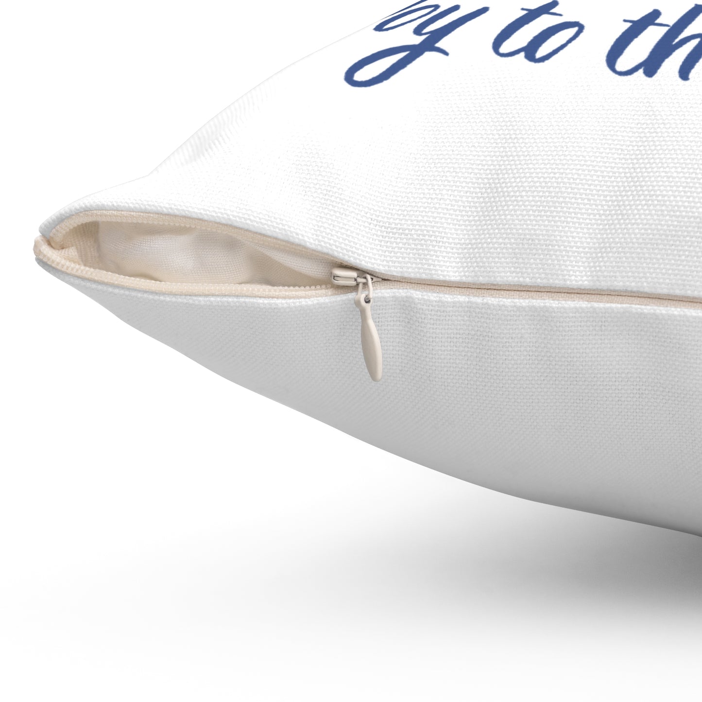 Joy to the World | Decorative Pillow