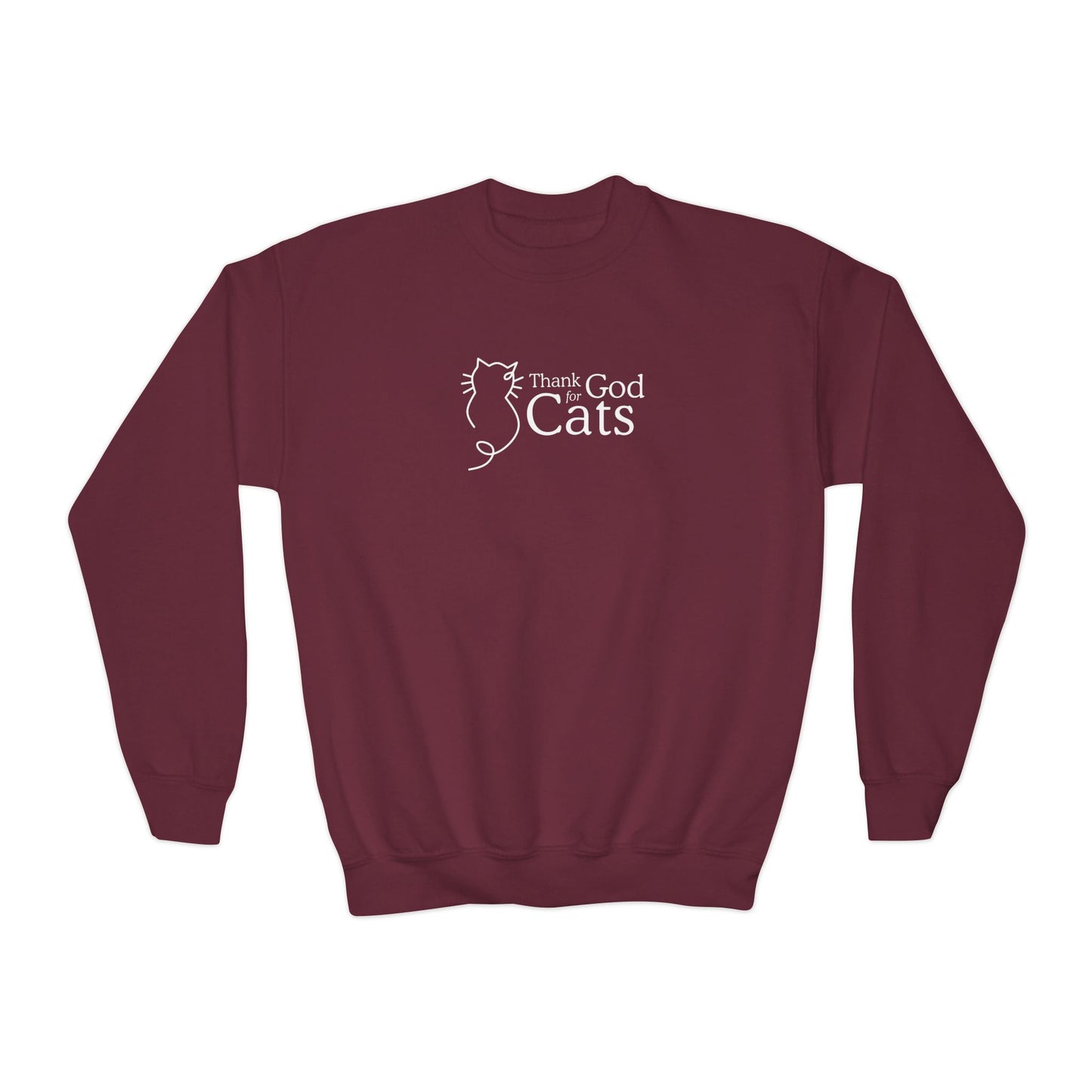 Thank God for Cats | Youth Sweatshirt